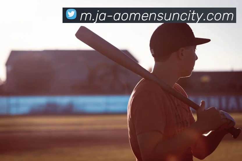 太阳城网站服务体系